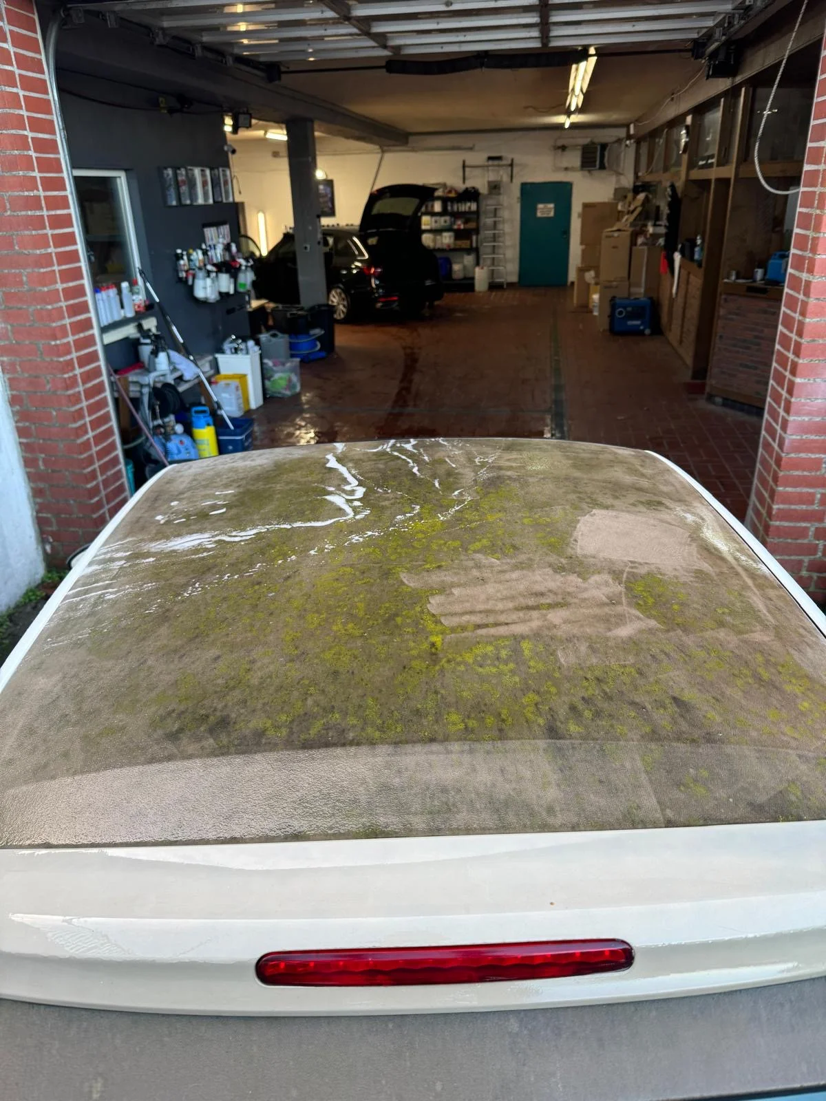 Cabrio-Verdeck vor der Reinigung – stark verschmutzt mit Moos und Grünspan